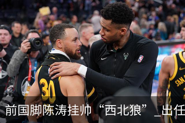 前国脚陈涛挂帅“西北狼” 出任陕西联合一线队主教练